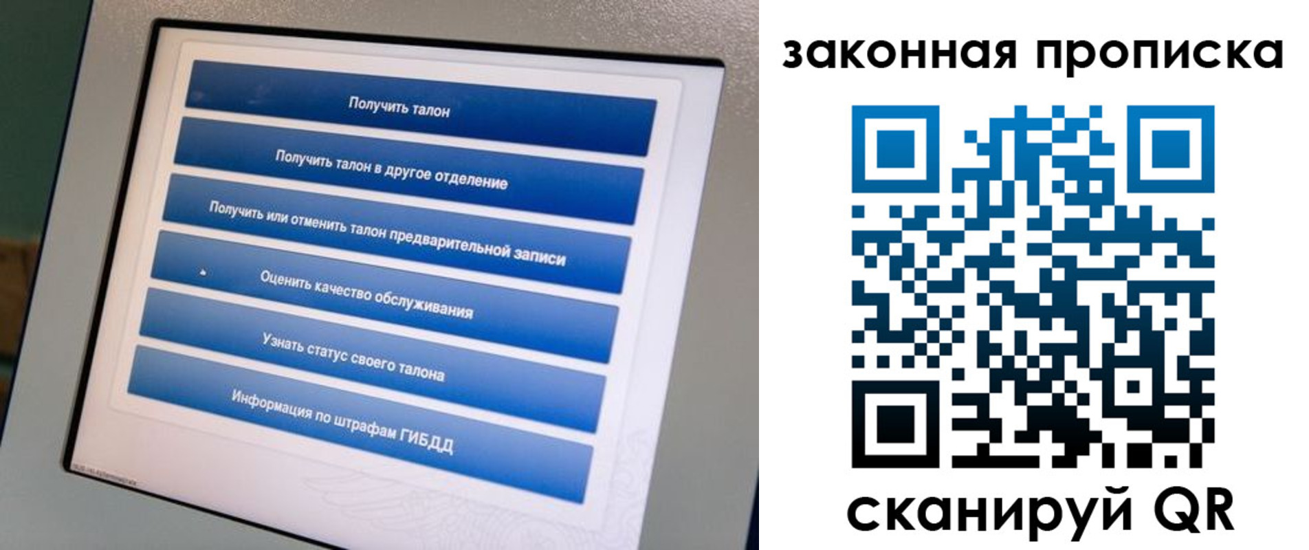 прописка 2025 в Алексине